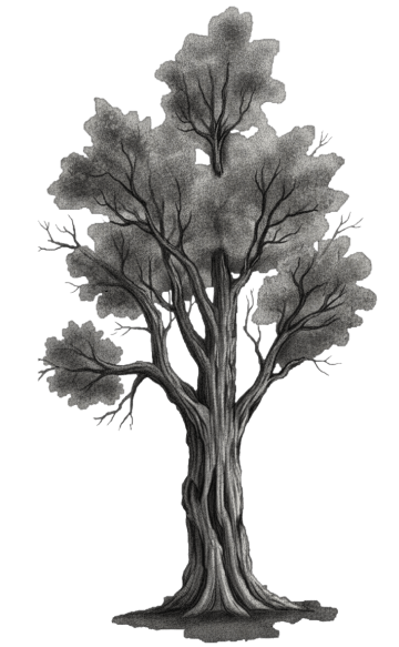 A towering tree with a massive trunk